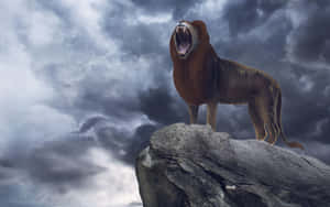 Majestic Lion Roaringon Rock Wallpaper