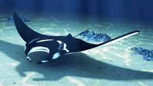 Majestic Manta Ray Gliding Through The Ocean Depths Wallpaper