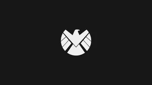 Majestic Medieval Shield On Display Wallpaper