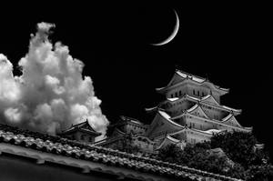 Majestic Monochrome View Of Himeji Castle In Japan Wallpaper