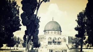 Majestic Mosque Amidst The Old Structures Of Palestine Wallpaper