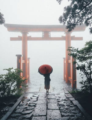Majestic Red Torii Gate Amidst The Fog Wallpaper