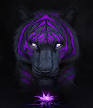Majestic Tiger On A Black And Purple Backdrop Wallpaper