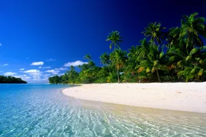 _ Majestic View Of The Sun Setting Over The Ocean On A Beach In Ocean Beach, California_ Wallpaper