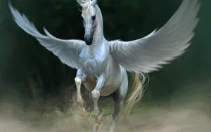 Majestic White Horse With Wings Wallpaper