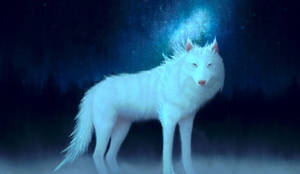 Majestic White Wolf In Motion Wallpaper