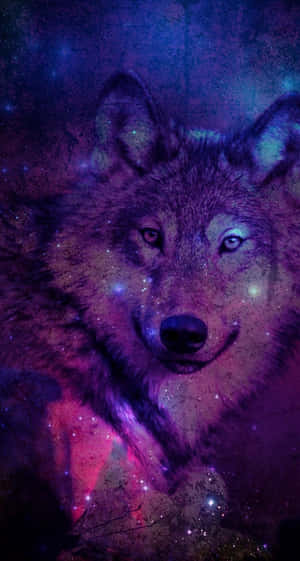 Majestic Wolf On Iphone Screen Wallpaper