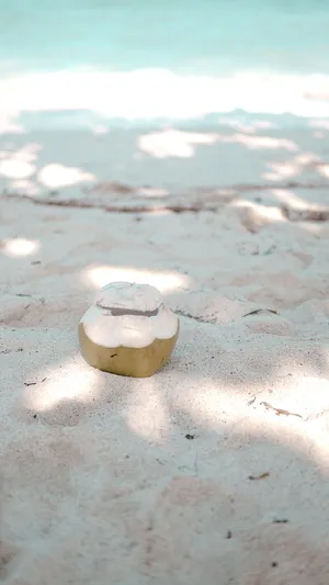 Make Summer Memories With A Cute Beach Iphone Wallpaper