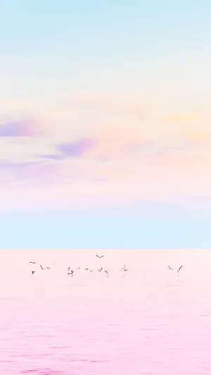 Make The Most Of The Sunshine And Enjoy The Soft Colors Of Summer. Wallpaper