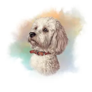 Maltese Dog Art Wallpaper