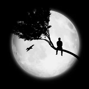 Man Alone On A Tree Wallpaper