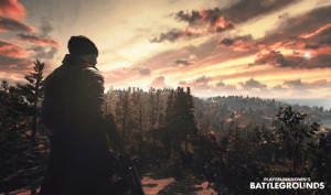 Man Looks Over Forest Pubg Banner Wallpaper