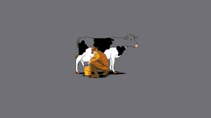 Man Milking Cute Cow And Draining Its Color Wallpaper