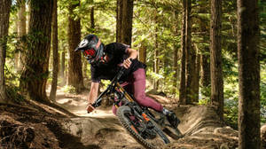 Man Mountain Biking Forest Terrain Wallpaper