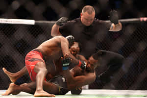 Manel Kape Knocking Off Wallpaper