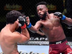 Manel Kape Punching Wallpaper