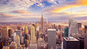 Manhattan Dense Wallpaper