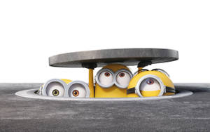 Manhole Minion Desktop Wallpaper