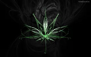 Marijuana Neon Line Art Wallpaper