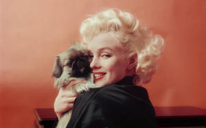 Marilyn Monroe With Small Dog Wallpaper