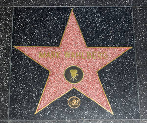 Mark Wahlberg Hollywood Walk Of Fame Wallpaper