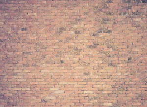 Massive Brown Bricks Wallpaper