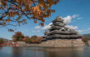 Matsumoto Castle Autumn Reflection Wallpaper
