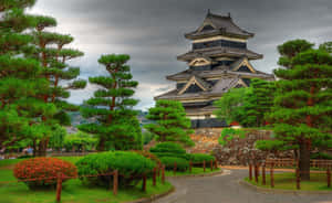 Matsumoto Castle Japan Wallpaper