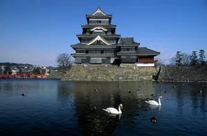 Matsumoto_ Castle_with_ Swans_ Japan Wallpaper