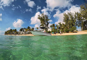 Mauritius Green Sea Wallpaper