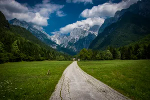 Meadow Driveway Through Mountain Range Wallpaper