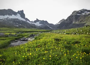 Meadow Growing Beside Mountains Wallpaper