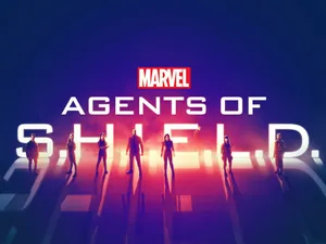 Medieval Knight Shield On Grunge Background Wallpaper