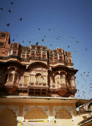 Mehrangarh Fort Birds Flying Wallpaper