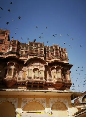 Mehrangarh Fort Birds Flying Wallpaper