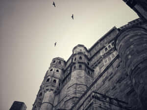 Mehrangarh Fort Monochrome Birds Flying Wallpaper