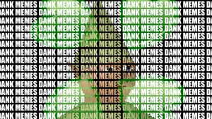 Meme-250973 Wallpaper