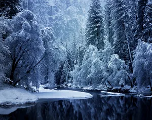 Merced River Yosemite National Park Snow 4k Wallpaper