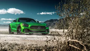 Mercedes Amg 4k Green Car With Dry Tree Wallpaper
