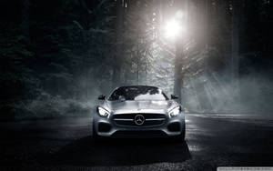 Mercedes Benz Amg Gt Dark Forest Wallpaper