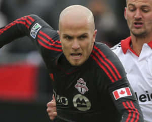 Michael Bradley And Perry Kitchen Wallpaper