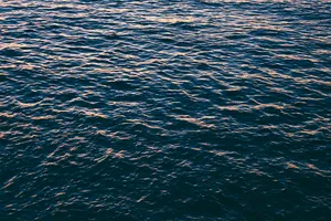 Microsoft Surface Calm Ocean Wallpaper