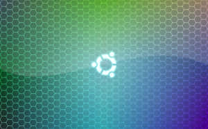 Minimal And Stylish White Grid Background Wallpaper