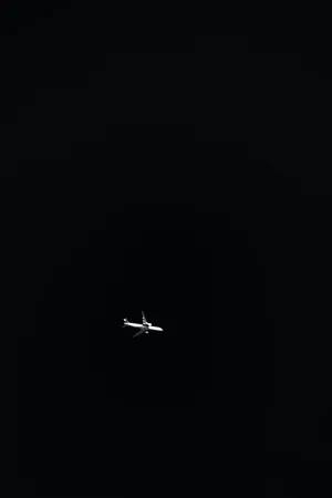 Minimalist Airplane Black And White Pfp Wallpaper