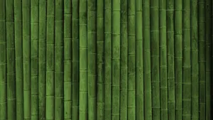 Minimalist Bamboo Hd Wallpaper
