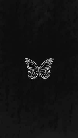 Minimalist Black Butterflyon Dark Background.jpg Wallpaper