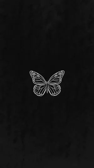 Minimalist Black Butterflyon Dark Background.jpg Wallpaper