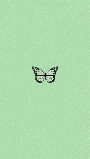 Minimalist Butterfly Mint Green Iphone Wallpaper