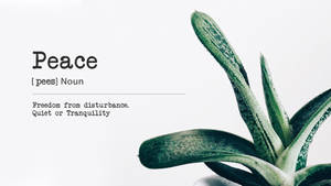 Minimalist Plant With Peace Quote Wallpaper