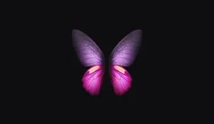 Minimalist Purple Butterfly Phone Background Wallpaper
